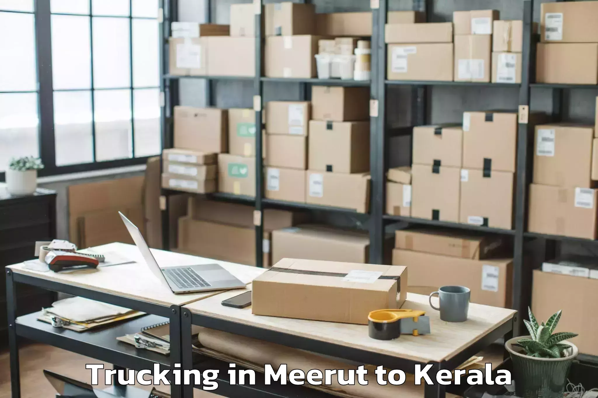 Top Meerut to Ottappalam Trucking Available